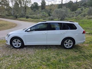 Volkswagen Golf 2015 1.6 TDI VARIANT BLUEMOTION-thumb-7