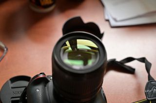 Nikon d5100 με nikon 18-105 vr-thumb-4