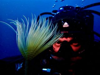 waterproof camera and housing-thumb-7