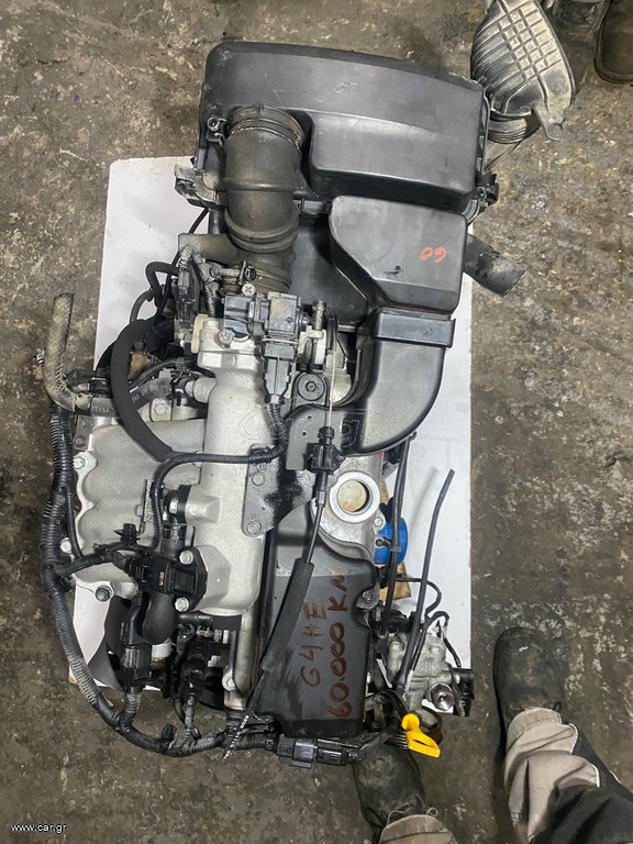 G4HG