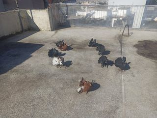 Βενταλιεσ