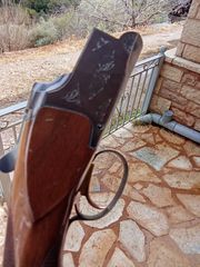Κυνηγετικό όπλο-thumb-5