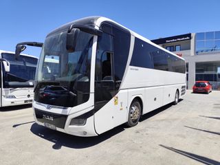 MAN 2018 Lion's Coach