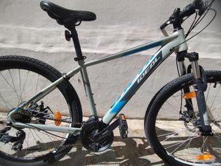 All - Mountain Ideal 2020 Freeder