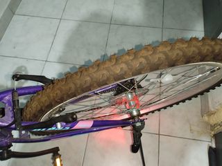 All - Mountain Alpina 2022