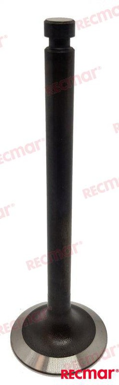 INTAKE VALVE REC129100-11100