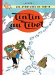 LES AVENTURES DE TINTIN 20: TINTIN AU TIBET RELIE