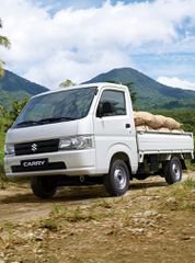 Pickup - Αγροτικό Suzuki 2012 Carry ΨΑΧΝΩ ΒΕΝΖΙΝΗ