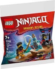 LEGO Ninjago Arin vs Dragonian Battle 30700
