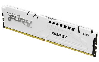 Kingston Fury Beast DDR5 1x16GB 6000 (KF560C36BWE2-16)