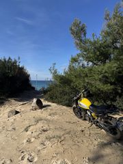 Ducati Scrambler 2016 Icon 800-thumb-2