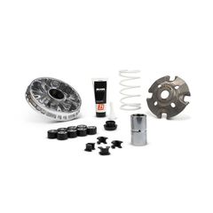 Βαριατόρ MULTIVAR 2000 ZONTES G368 2025-, 350 EURO 5 2025- (ZT1P77MP) 5120290 | MALOSSI