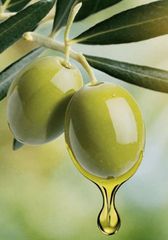 ΠΩΛΕΊΤΑΙ ΕΞΑΙΡΕΤΙΚΌ ΠΑΡΘΈΝΟ ΕΛΑΙΌΛΑΔΟ ΚΑΛΑΜΆΤΑΣ