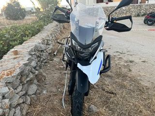 Daytona Maverick 2023 500-thumb-1