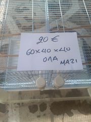 πουλιών-thumb-4