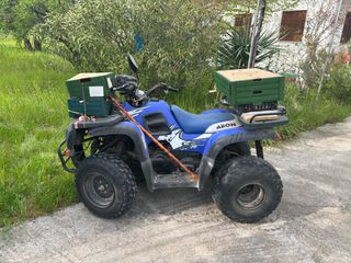Aeon Cobra 125 2009