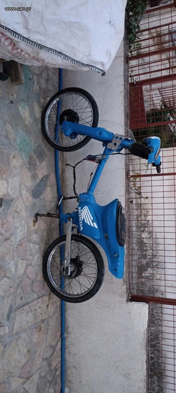 Σκελετός c50
