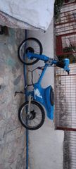 Σκελετός c50