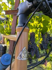 MARIN NICASIO PLUS-thumb-7