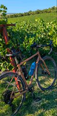 MARIN NICASIO PLUS-thumb-6