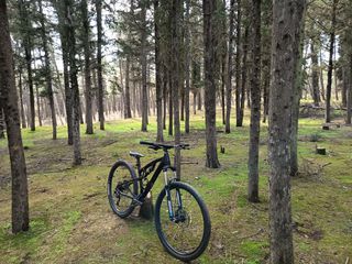 Downhill - Enduro - Trail 2024 Spyder occasion 1x10 mtb