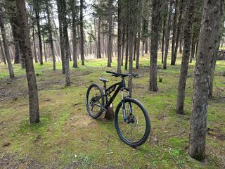 Downhill - Enduro - Trail 2024 Spyder occasion 1x10 mtb-thumb-1