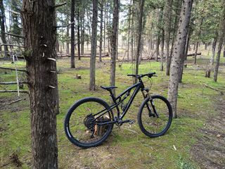 Downhill - Enduro - Trail 2024 Spyder occasion 1x10 mtb-thumb-2