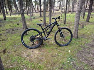 Downhill - Enduro - Trail 2024 Spyder occasion 1x10 mtb-thumb-3