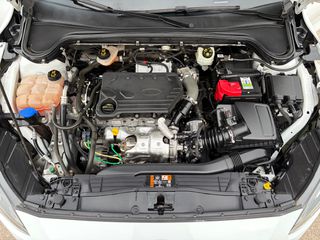 Ford Focus 2019 1.5 TDCI S/W **ΕΛΛΗΝΙΚΟ**-thumb-33