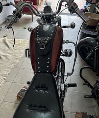 Suzuki VS 800 1995 intruder