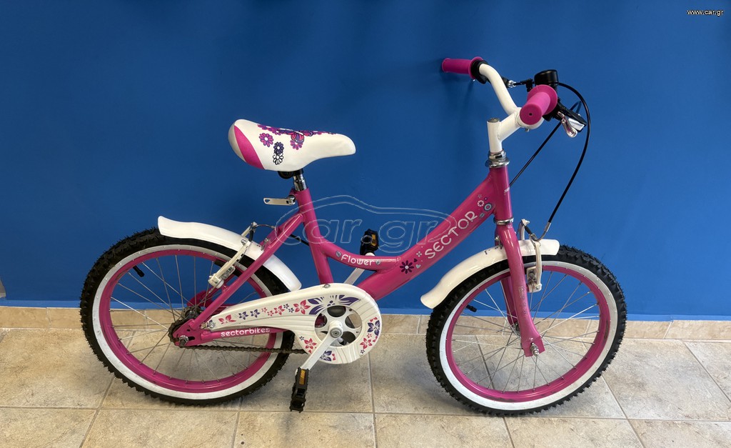 BMX Sector 2024