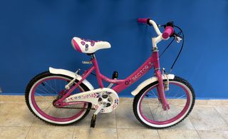 BMX Sector 2024