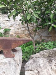 Αμόνι ατσάλινο-thumb-10