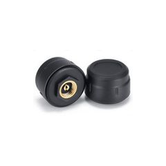 LM TPMS SN SXT