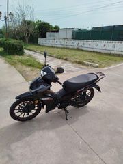 UM 2024 FLASH 125 LZ