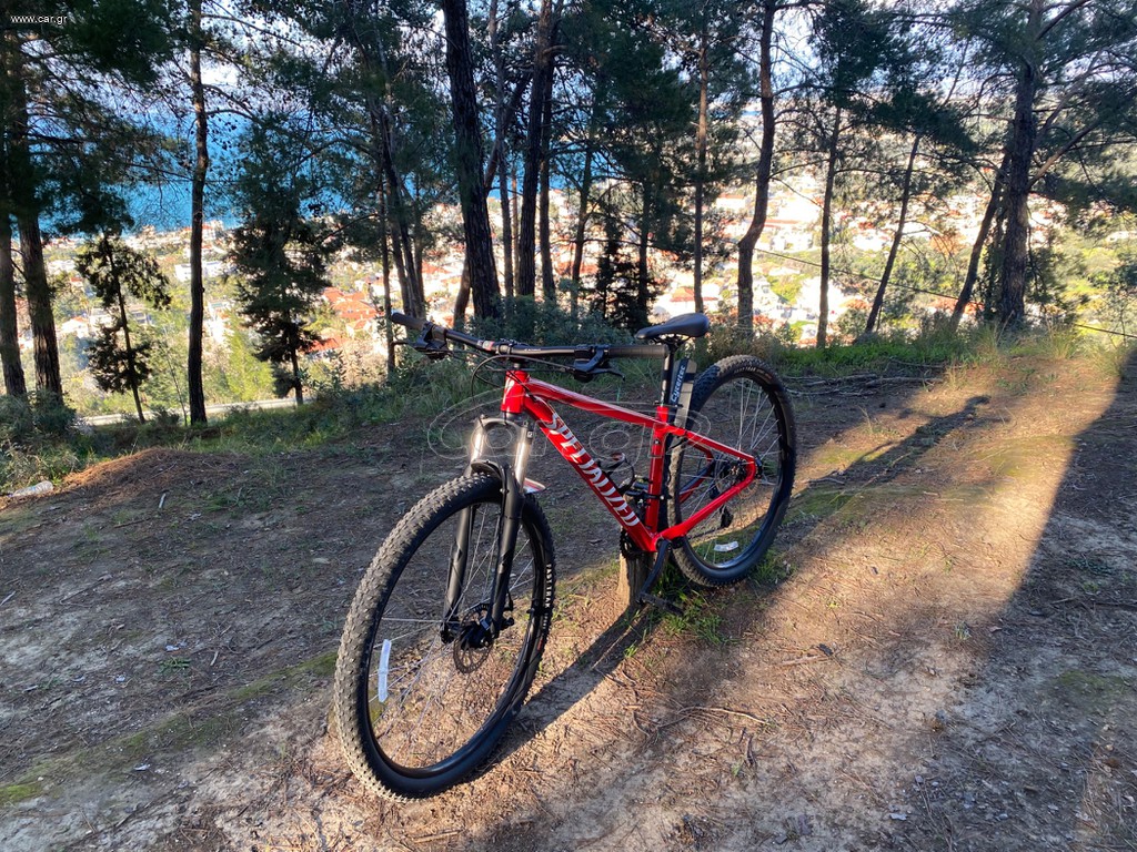 All - Mountain Specialized 2024