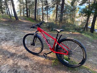 All - Mountain Specialized 2024-thumb-1