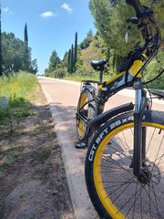 Fat Bikes 2022 1000w