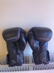 Hayabusa-thumb-2