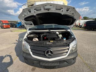 Ψυγείο Mercedes-Benz 2015 416 CDI / EURO 5b-thumb-23