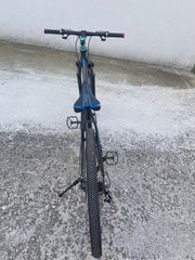 Downhill - Enduro - Trail 2024 E-friend-thumb-4