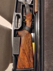Rizzini Fierce 1