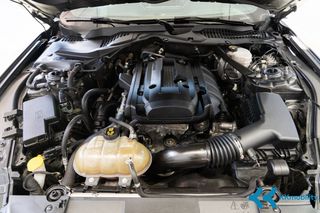 Ford Mustang 2021 ΕΛΛΗΝΙΚΟ/FASTBACK 2.3 ECOBOOST AUTOMATIC-thumb-30