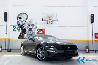 Ford Mustang 2021 ΕΛΛΗΝΙΚΟ/FASTBACK 2.3 ECOBOOST AUTOMATIC-thumb-16