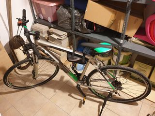 Trekking Cube 2019 Curve