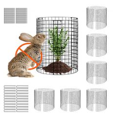 VEVOR 6 Pack Plant Protector from Animals, 12,6'' Διάμετρος.x 14'' H Chicken Wire Plant Protector, Κλουβιά φυτών για φυτά εξωτερικού χώρου, λουλούδια και λαχανικά, Keeps Bunny Chicken Squirrels Out, 1
