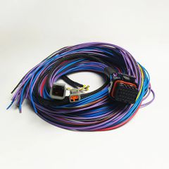 HARNESS PEAK AND HOLD PRO INJECTOR DRIVER / 2M