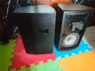 Ηχεία IREX 10" Custom Series – Eminence/Tonsil – 400W με Extra Ψύξη στις Κόρνες-thumb-1