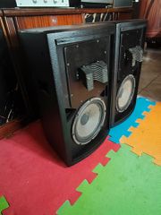 Ηχεία IREX 10" Custom Series – Eminence/Tonsil – 400W με Extra Ψύξη στις Κόρνες-thumb-5