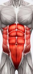EMS Reshape Body Sculpt-thumb-3